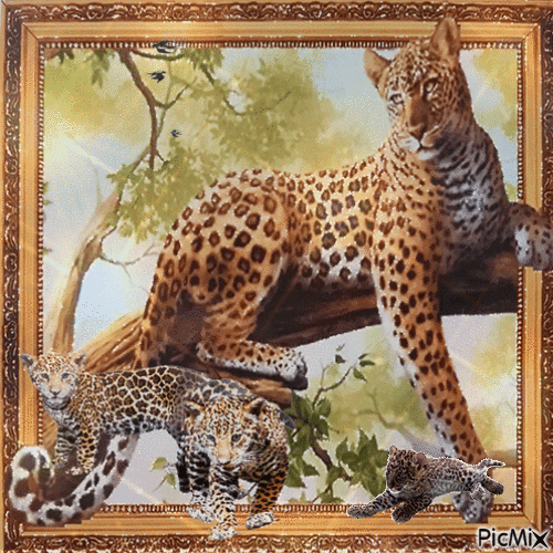 Leopard - GIF animado grátis
