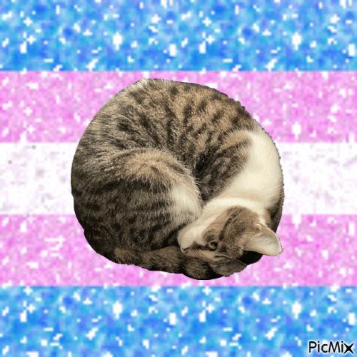 Moon says trans rights - Gratis animeret GIF