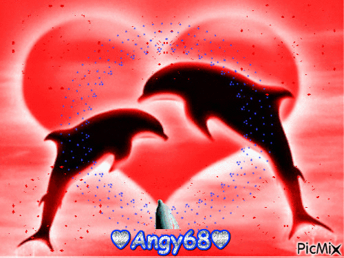 amo i delfini ♥ - Gratis animerad GIF