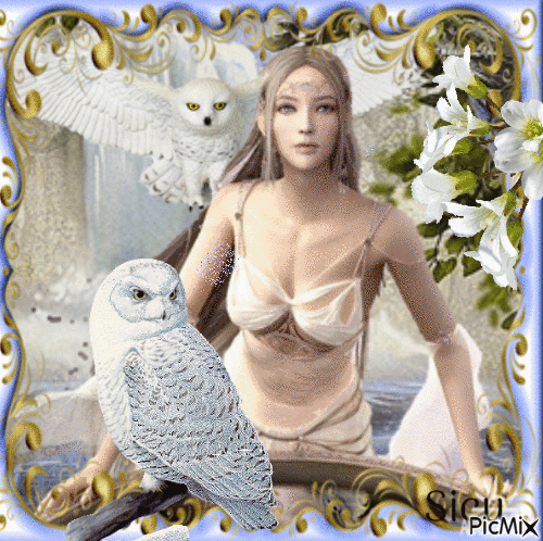 Snow owl... - GIF animate gratis