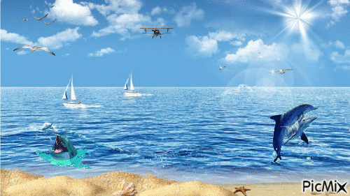 la mer - Безплатен анимиран GIF