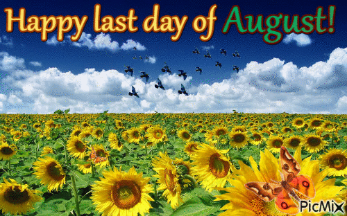 Last Day of August - Free animated GIF