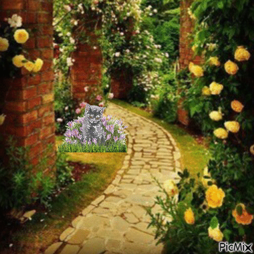Kitten in garden - Free animated GIF