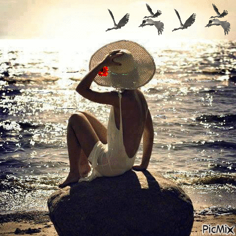 Sol, arena y mar...playita - GIF animado gratis