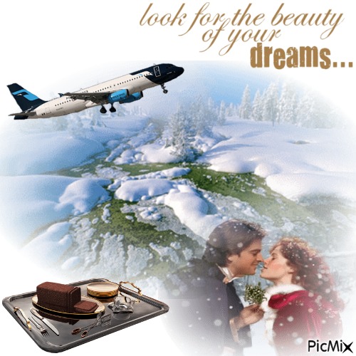 Look For The Beauty Of Your Dreams - безплатен png