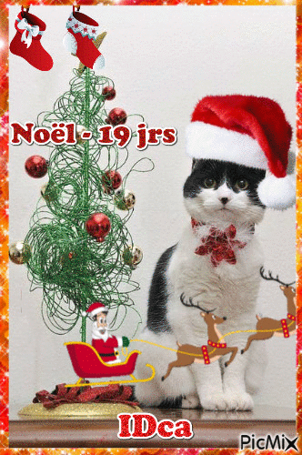 Noel 19 j - Bezmaksas animēts GIF
