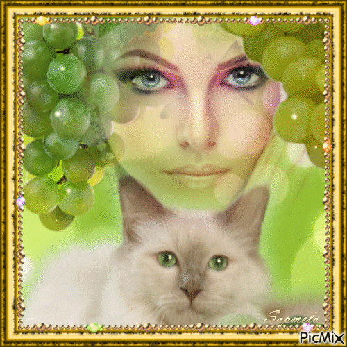 Gato uva e mulher - GIF animate gratis