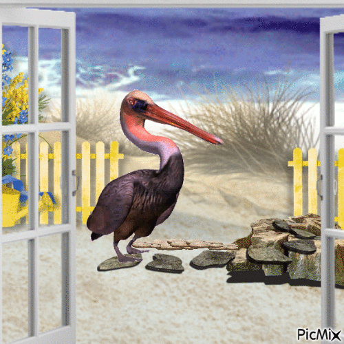 The pelican - Darmowy animowany GIF