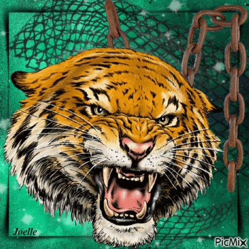 La rage du tigre ! - GIF animate gratis