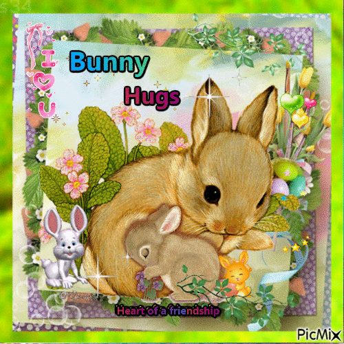 bunny hugs - Безплатен анимиран GIF