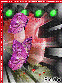 papillons - GIF animado grátis