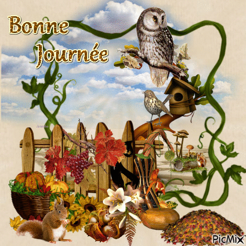 chouette automne - Free animated GIF