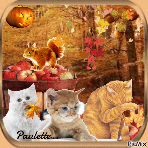 chats d'automne - Free animated GIF
