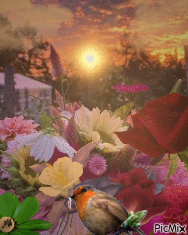 Flores al atardecer - GIF animé gratuit