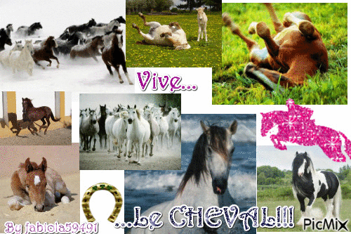 Le CHEVAL c trop GENIAL - 無料のアニメーション GIF