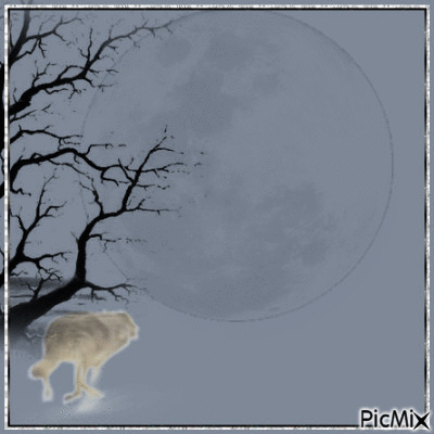wolf moon - Бесплатный анимированный гифка