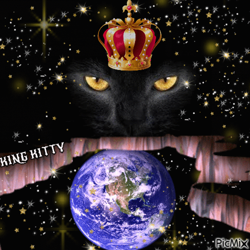 Worldwide kitty - Besplatni animirani GIF