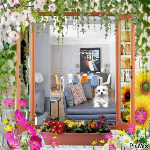 fenêtre fleurie - kostenlos png