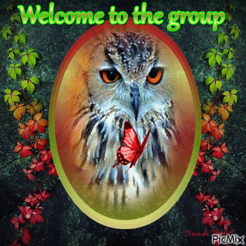 WELCOME OWL 1 - Бесплатный анимированный гифка