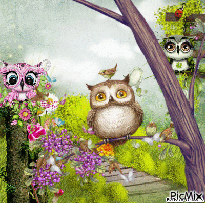 SPRING OWLS - 免费动画 GIF