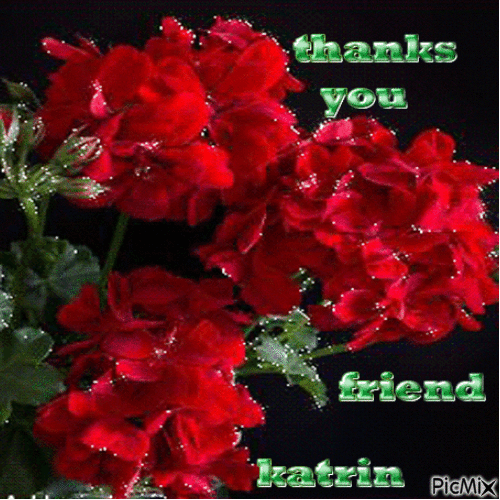 cadeau de mon amie Katrin ( katrinka ) ♦ - GIF animé gratuit