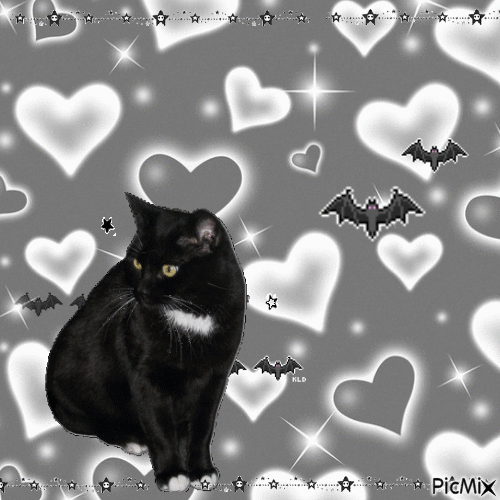 Black Cat - GIF animado gratis