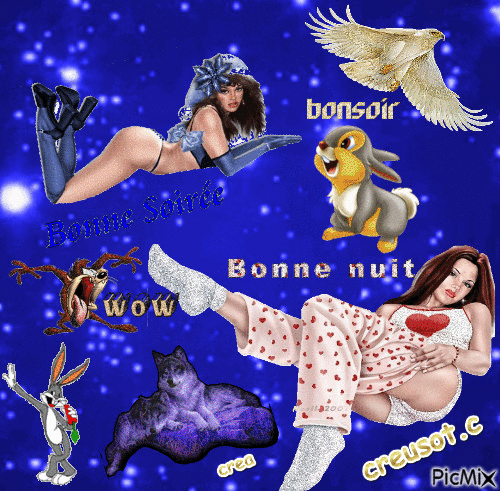 bonne soiree  bonne nuit - Бесплатный анимированный гифка