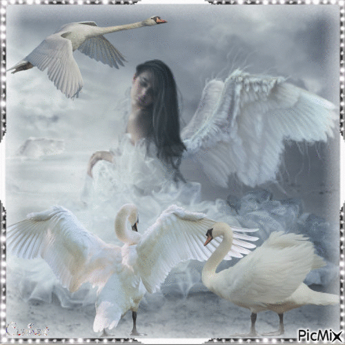 L'ange et les cygnes - Безплатен анимиран GIF