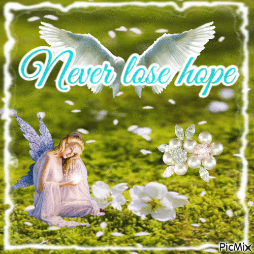 Never lose hope - Darmowy animowany GIF