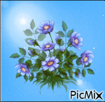 virág - Darmowy animowany GIF
