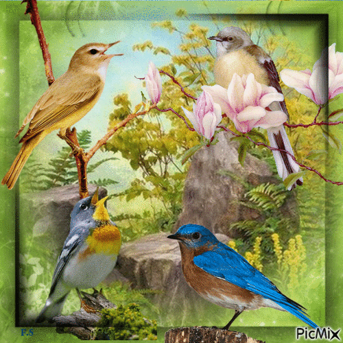 Spring Birds - GIF เคลื่อนไหวฟรี