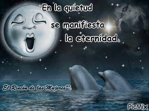 luna llena con delfines en el mar - Бесплатни анимирани ГИФ