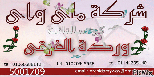 ماى واى وردة الغرقى - Бесплатный анимированный гифка
