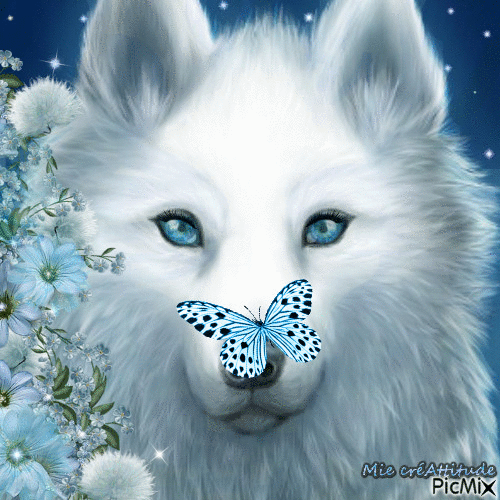 Le loup & le papillon - GIF animasi gratis