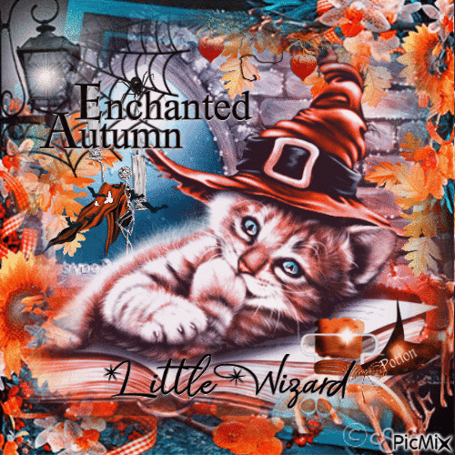 Little wizard cat autumn - Δωρεάν κινούμενο GIF