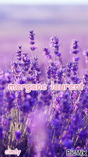 morgane laurent 1 - ücretsiz png