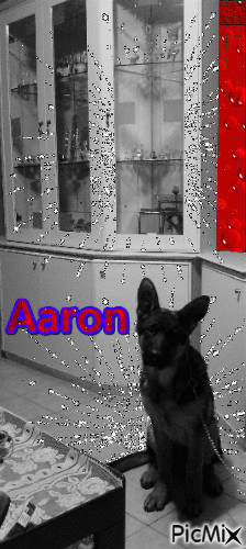 Aaron - Δωρεάν κινούμενο GIF