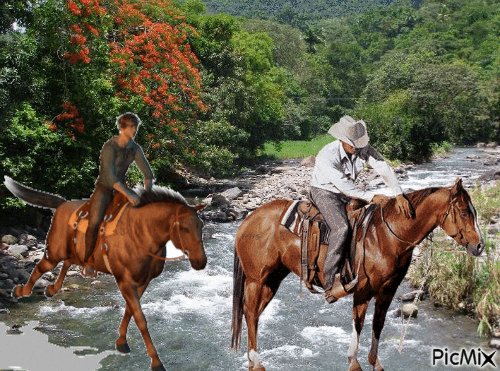 la traversée de la riviere à cheval - GIF animé gratuit