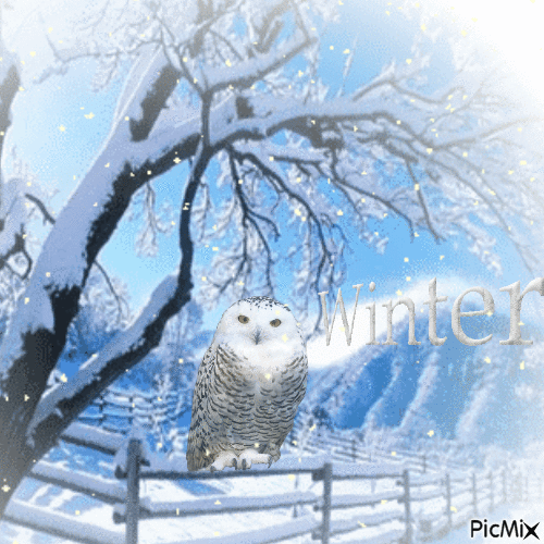 Autumn or winter bird - GIF animado grátis