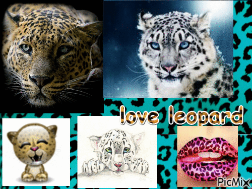 love leopard #marine - GIF animado gratis