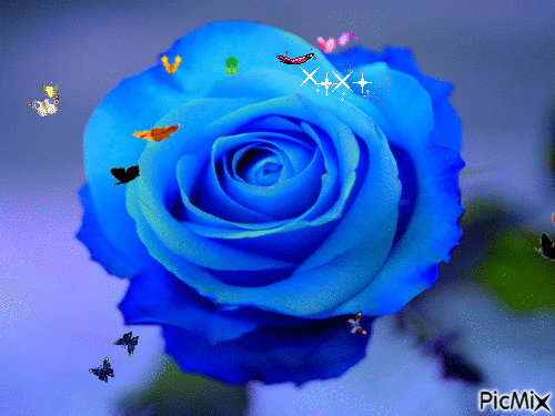 Rose bleu et papillon - 無料のアニメーション GIF