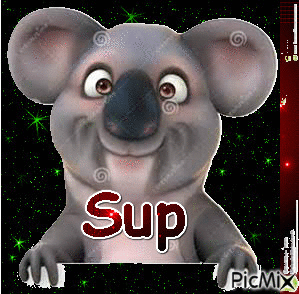Sup Koala - GIF animé gratuit