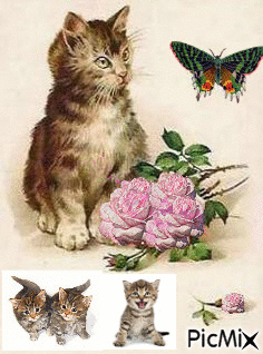 ASTILL PICTURE OF A CAT AND HER KITTENS, PINK FLOWERS AND A PRETTY BUTTERFLY. - Бесплатни анимирани ГИФ