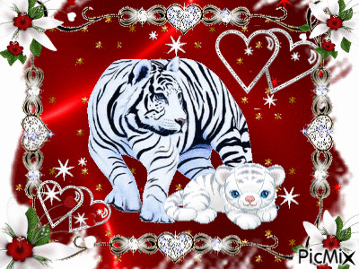 tigre blanc et son petit - GIF animado grátis