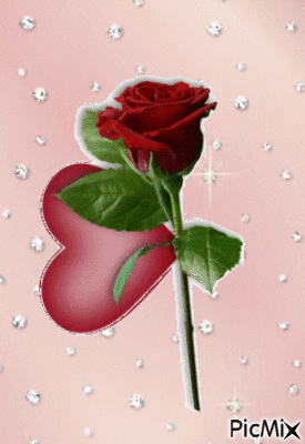 roza - GIF animado gratis
