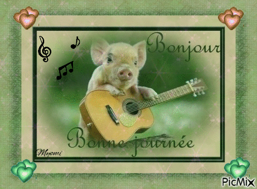 Bonjour cochon guitare - Free animated GIF