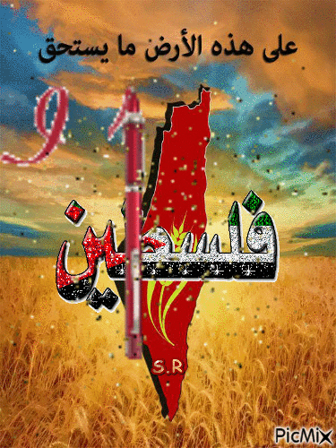 palestin - 免费动画 GIF