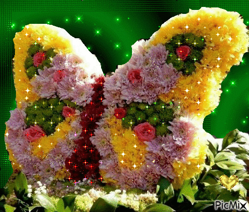 fluture flori - Бесплатни анимирани ГИФ