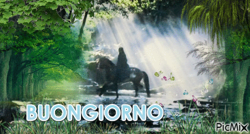BUONGIORNO - Бесплатный анимированный гифка