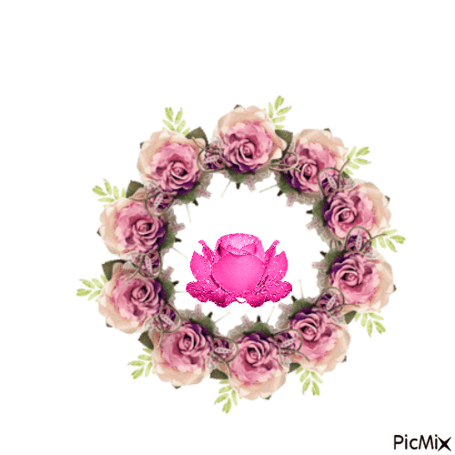 rosa - Free animated GIF